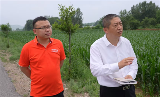 垃圾帶變身綠意長廊 阜新化石戈鎮公路沿線“美麗新生”_fororder_阜新圖3