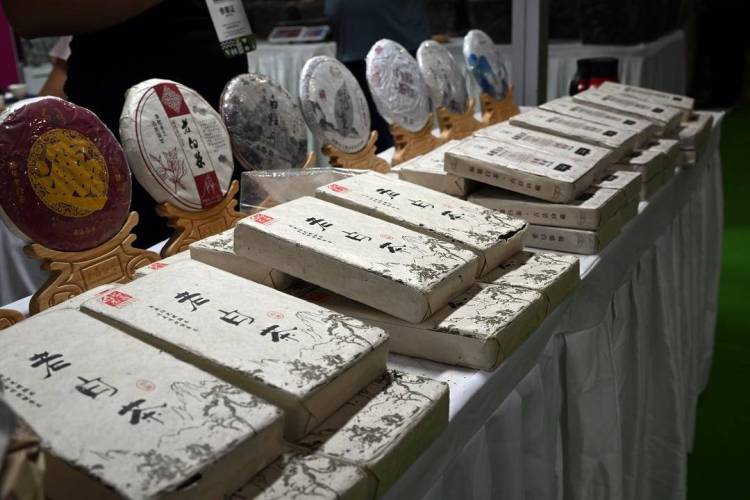 第9屆中國（瀋陽）國際茶産業博覽會開幕