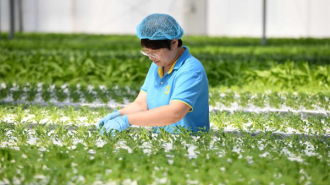 人勤春早啟新程 新民市春耕備耕奏響振興曲