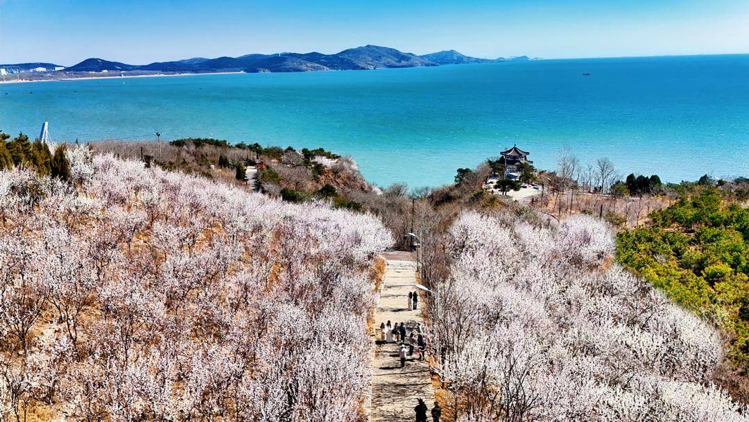 葫蘆島：面朝大海，春暖花開