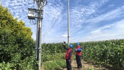 網阜新供電公司：搶農時戰“三夏” 電力賦能穩耕收