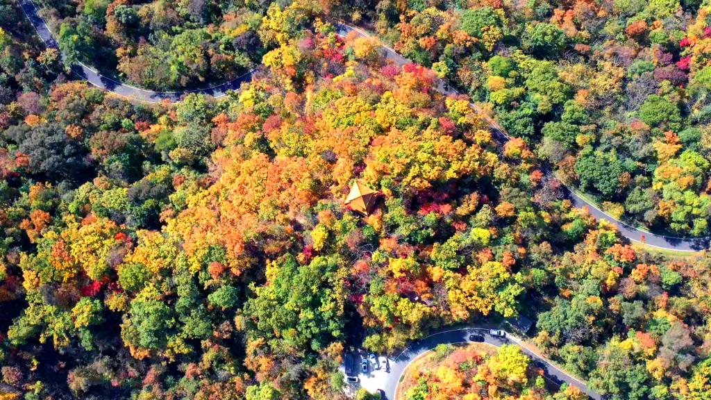 撫順天女山首屆楓葉音樂節開幕