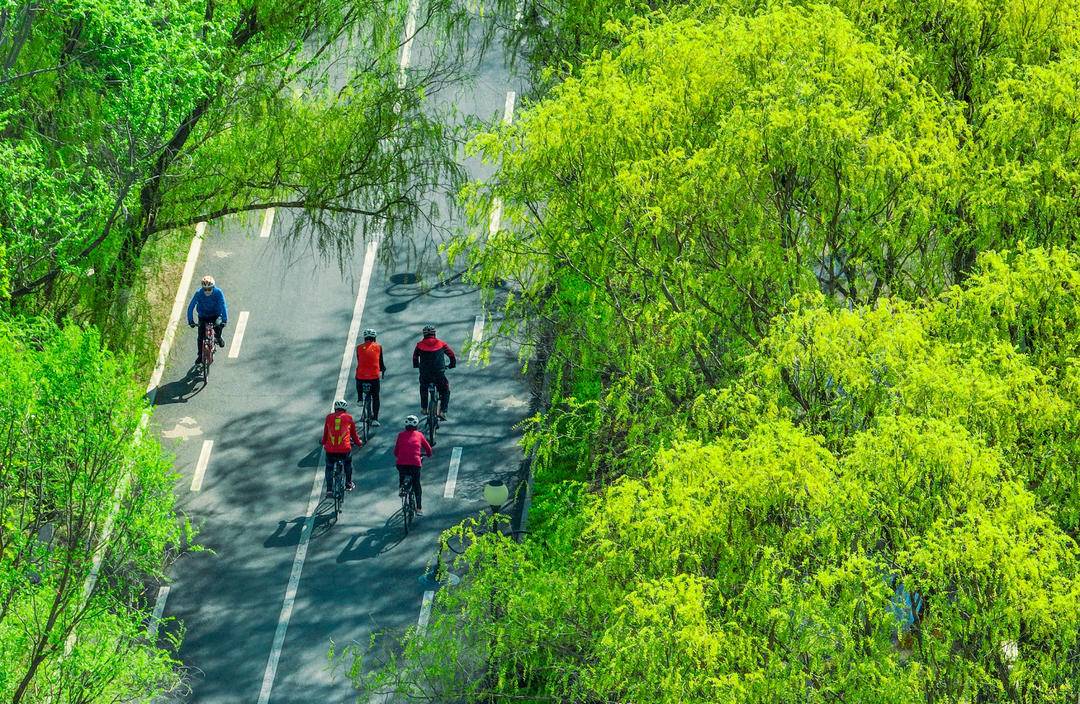 瀋陽：春風又綠河兩岸