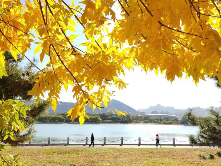 朝陽,一城秋色動人心!