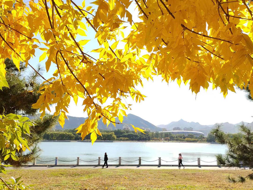 朝陽，一城秋色動人心！