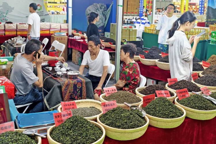 第十屆中國（大連）國際茶産業博覽會開幕