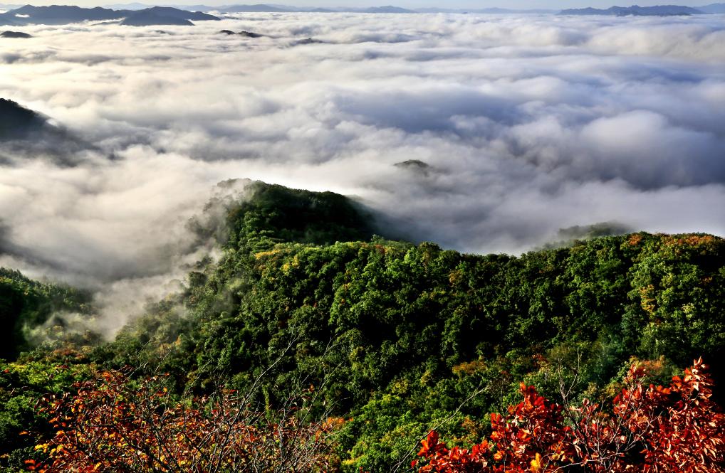 撫順天女山首屆楓葉音樂節開幕