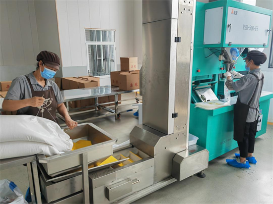 朝陽：走出有機産品帶動雜糧産業興旺的新路徑_fororder_常雜糧5