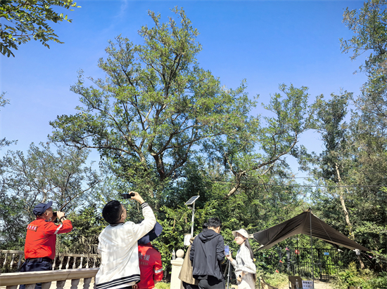 （待核實）首屆黃渤海分界線候鳥微觀賽暨生態體驗季在大連旅順啟動_fororder_李靜鳥7