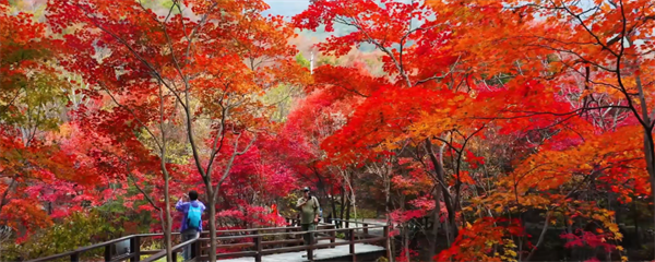 遼寧鄉村：鄉遇山海 遼瞰四季_fororder_張琪遼寧鄉村3