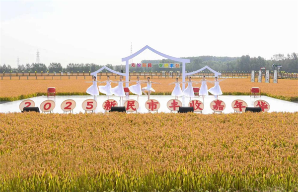 新民豐收嘉年華啟幕 預計糧食産量達23億斤 創“二十二連豐”_fororder_新民豐收嘉年華3