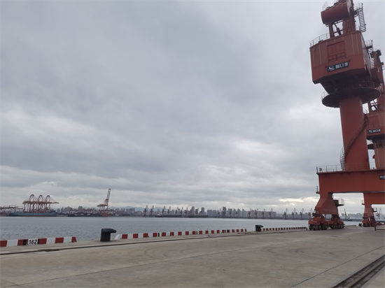 營口市人大激活代表智庫 聚力港産城融合 賦能高品質發展_fororder_王江寧圖