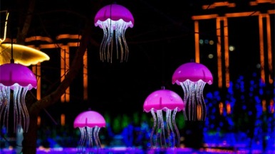 大連：2026普蘭店第二屆新春遊園燈會即將璀璨綻放