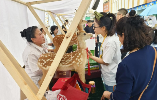 解鎖“遼寧製造”好品好物魅力  來場“FIRST in Liaoning”消費之旅_fororder_圖片47