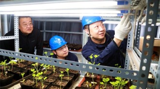 國網阜新供電公司“一戶一策”呵護“種寶寶”健康繁育