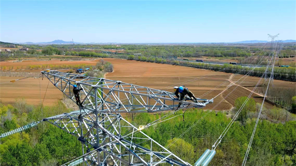 國網葫蘆島供電公司：向“新”逐“綠” 全力保障風電項目高效並網_fororder_微信圖片_20250603100301