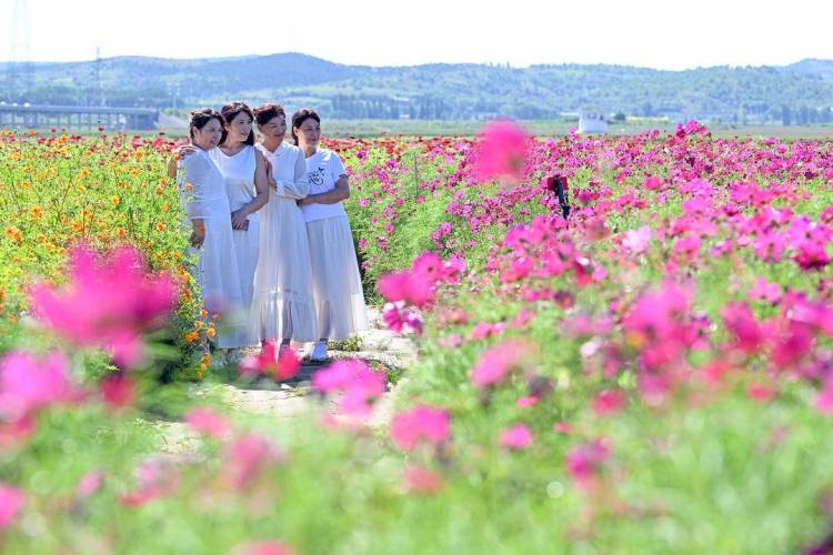 北票花海醉遊人