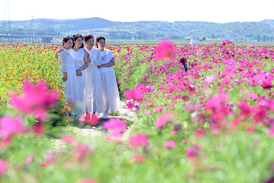 北票花海醉遊人