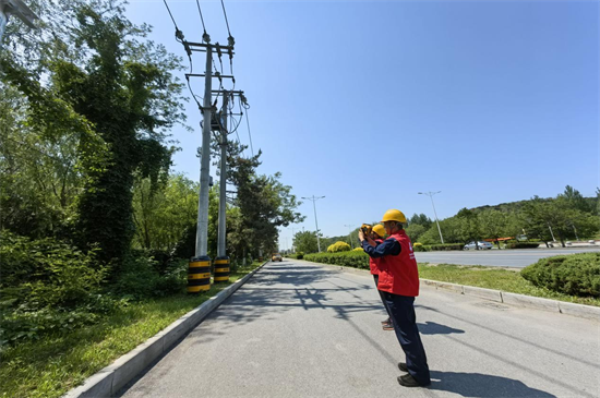 國網鐵嶺供電公司：築牢安全防線 確保順利度夏_fororder_圖片3
