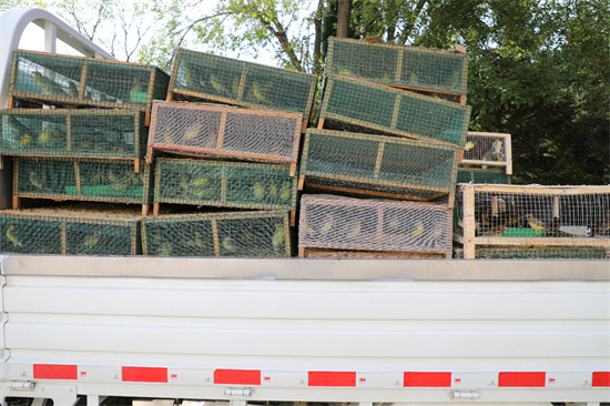 涉案價值超千萬元!大連市公安局普蘭店分局破獲特大案件_fororder_普蘭店鳥4