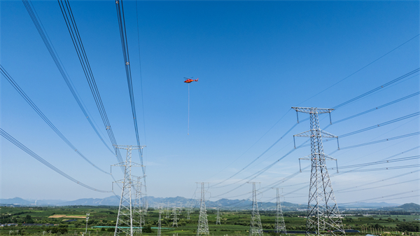 遼寧電力：電網“黑科技”亮相實戰演練 築牢保供安全防線_fororder_遼寧電網3
