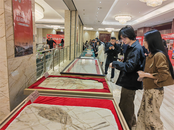 2025化石保護研討會在遼寧朝陽啟幕_fororder_常化石2