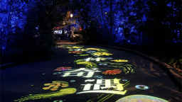 “仲夏森係花海+植物園奇妙夜”瀋陽植物園沐光森林夜遊7月閃耀開啟