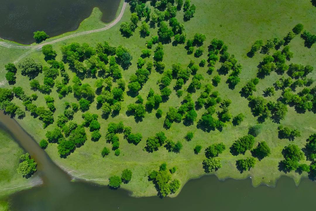 遼河南岸：水面如鏡 美景如畫