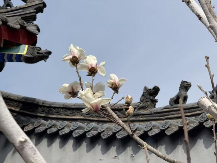 “花樣經濟”何以動人心？