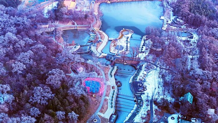 冰雪賦能!瀋陽將“冷”變“熱”植物園解鎖初冬旅遊新場景