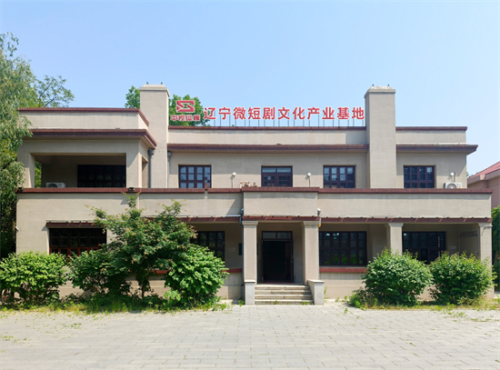 遼寧首家微短劇專家服務站落戶瀋陽市和平區_fororder_供圖：和平區委宣傳部1