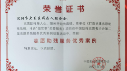 瀋陽市大東區殘聯黨建助殘項目榮獲國家級殊榮