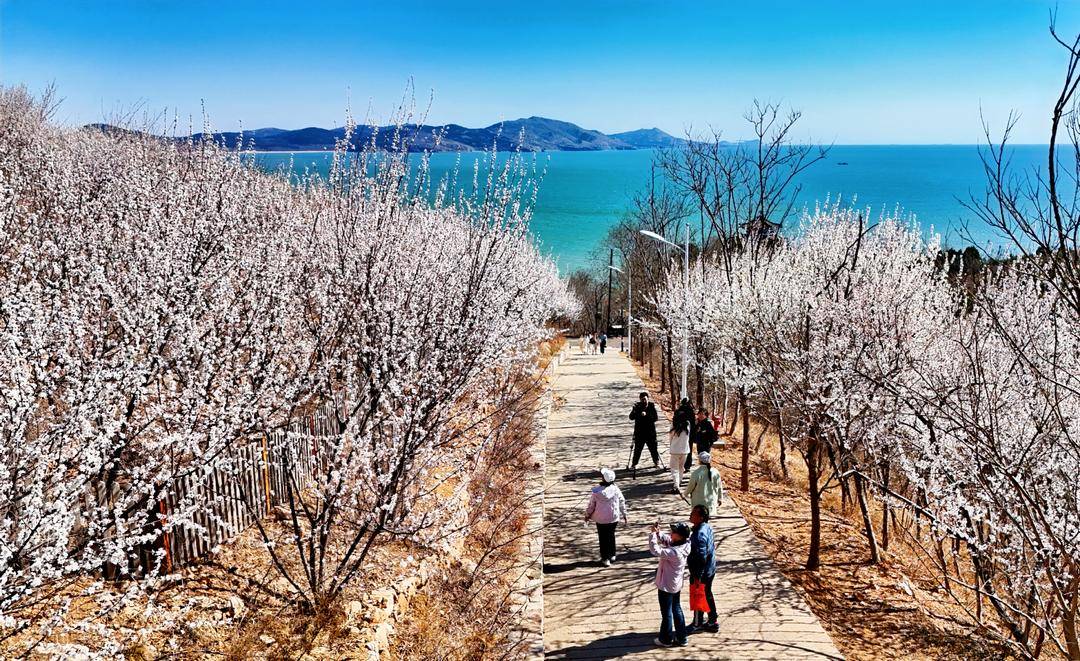 葫蘆島：面朝大海，春暖花開