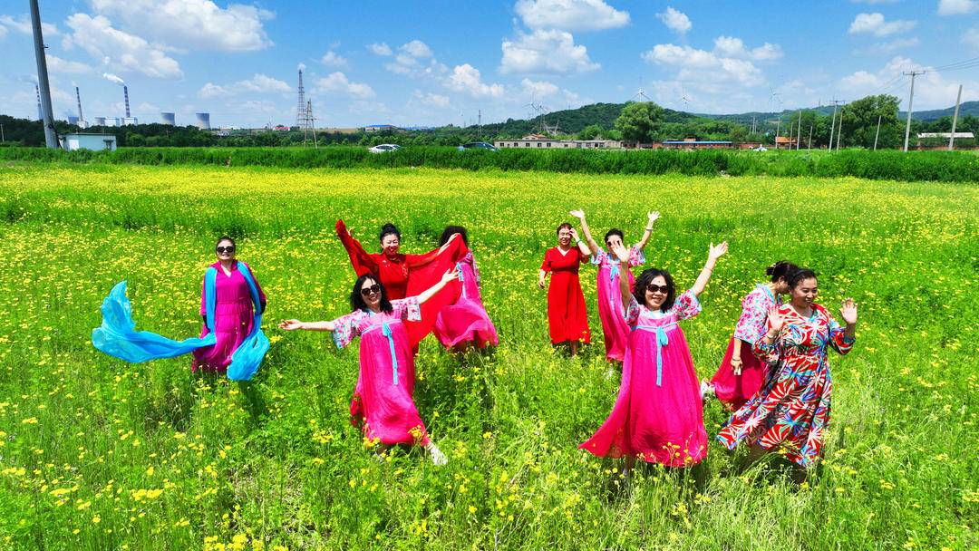 鐵嶺：微風拂柴河，花海映生態