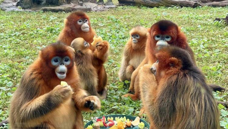 大連的小動物們也有專屬“中秋大禮包”