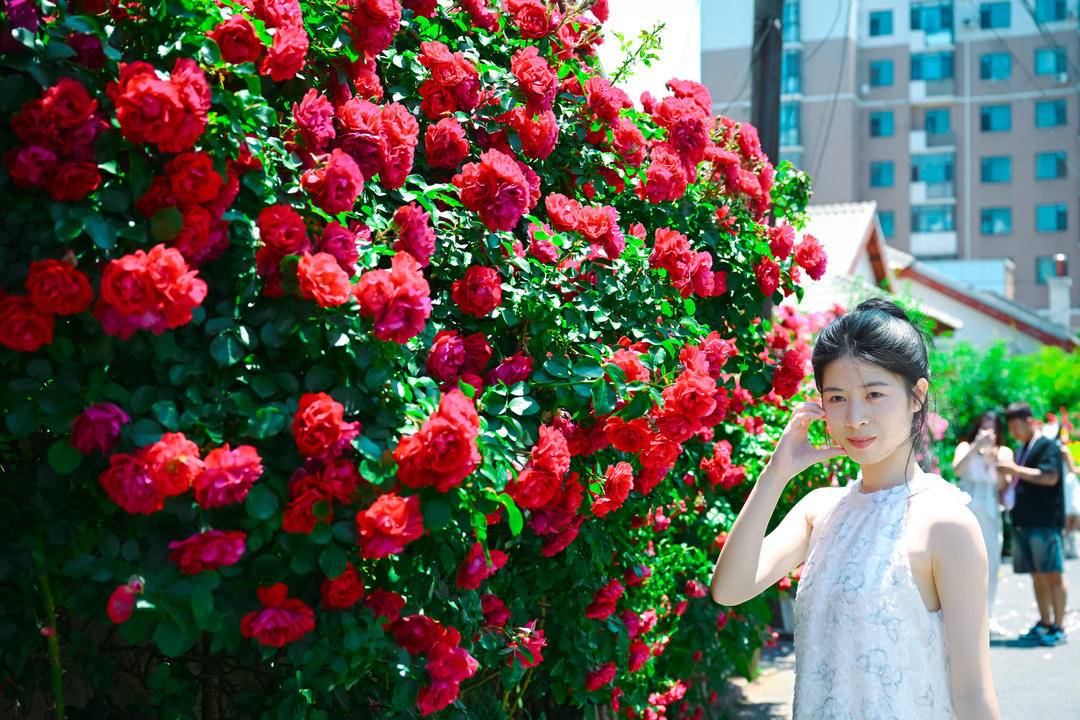 大連：老街小巷，藏不住的“花”樣浪漫