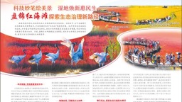 盤錦紅海灘探索生態治理新路徑