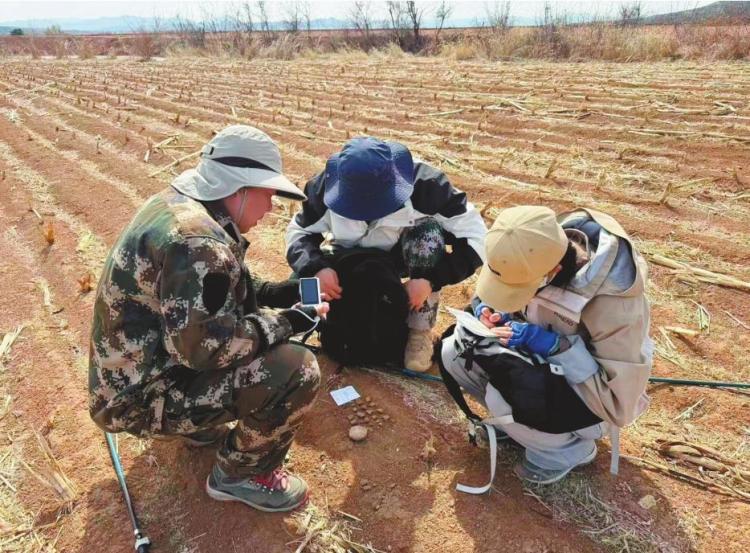 大淩河中游再添44處紅山文化遺址