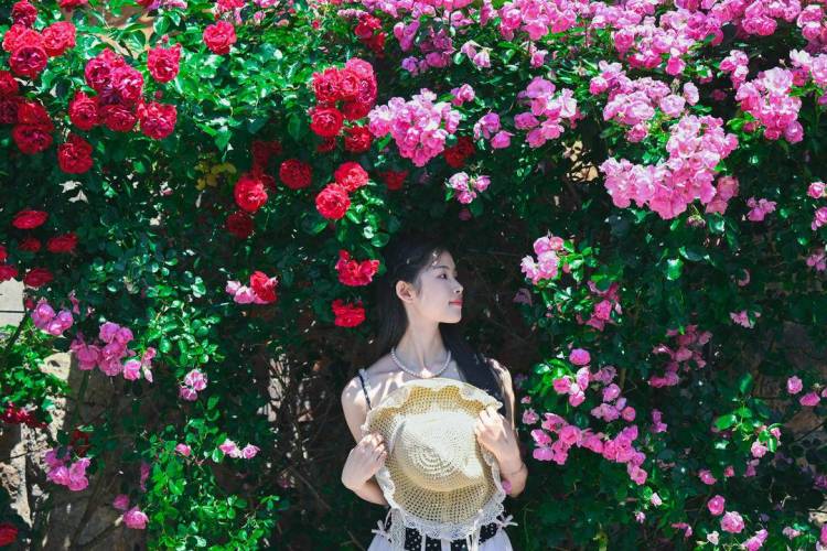 大連：老街小巷，藏不住的“花”樣浪漫