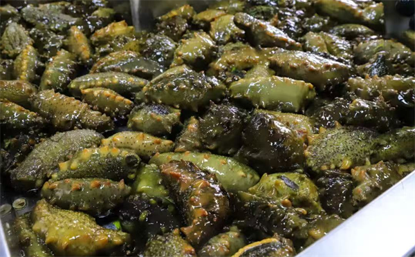 圖説·普蘭店 | 打造“中國遼參産業之都”城市産業品牌_fororder_圖説普蘭店3