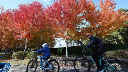 瀋陽：定格“楓”情之秋