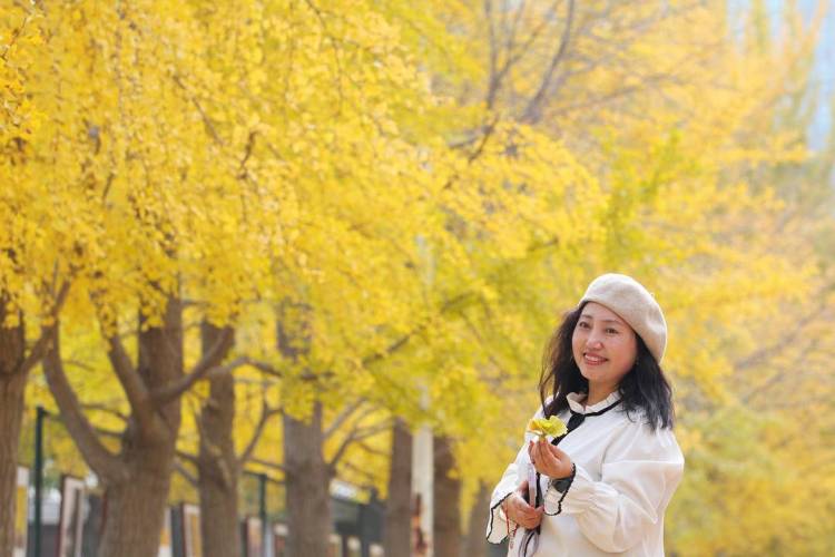 秋日限定款,漫天飛舞的金色浪漫