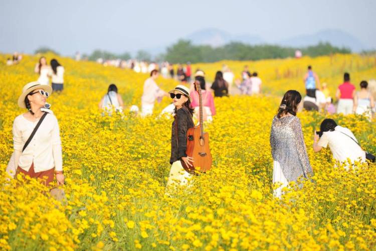 大連：盛夏花開遊人醉
