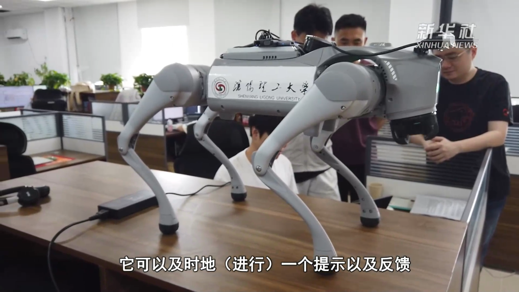 瀋陽：電子導盲犬讓視障人士“看見”生活點滴