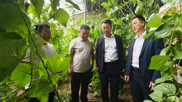 三年持續發力！從“授技”到“增收” 田間地頭交出科技助殘新答卷_fororder_黃非殘聯加急2
