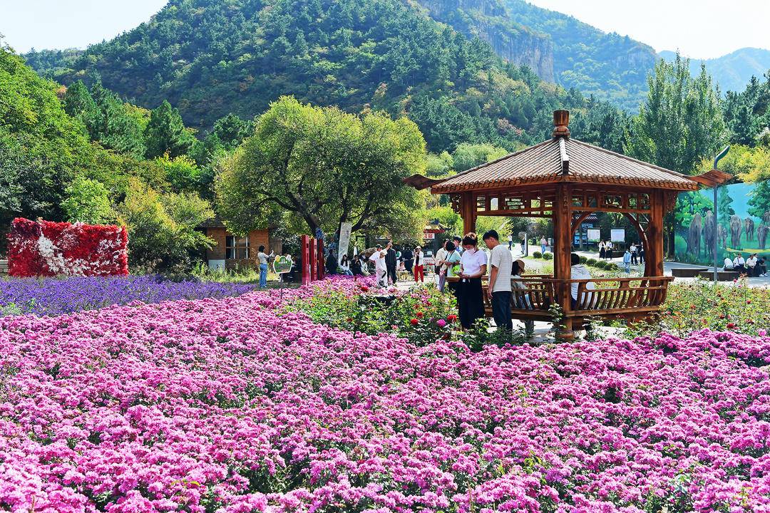 朝陽：遊人醉，生態美