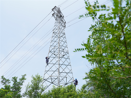 國網葫蘆島供電公司：無懼烈日“烤”驗 “汗”為萬家清涼_fororder_1