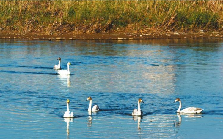 “治山、治水、治城”一體推進 錦州將綠色融入城市肌理