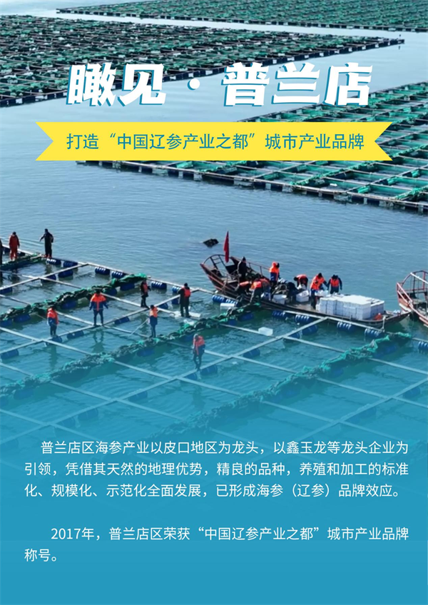 圖説·普蘭店 | 打造“中國遼參産業之都”城市産業品牌_fororder_圖説普蘭店1
