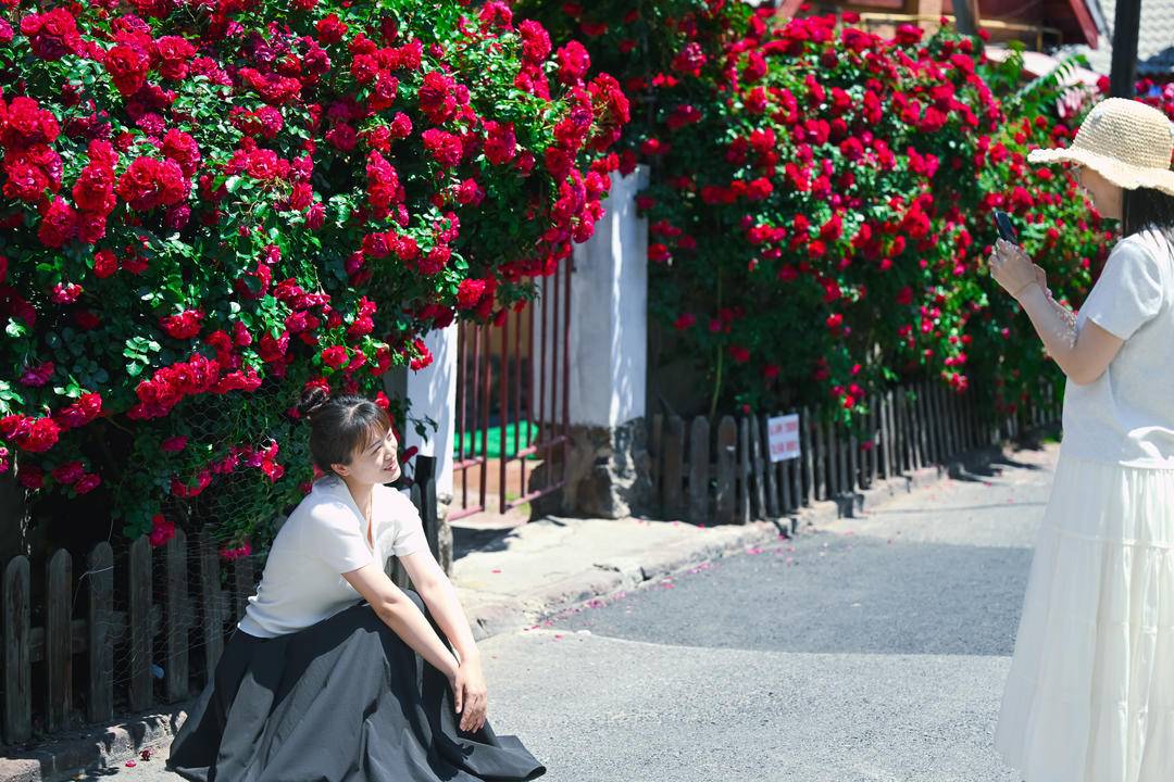 大連：老街小巷，藏不住的“花”樣浪漫